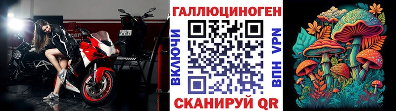 Галлюциногенные грибы Psilocybine cubensis  shop формула  Нюрба 